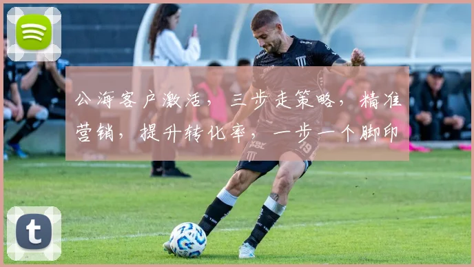 公海客户激活，三步走策略，精准营销，提升转化率，一步一个脚印，共筑辉煌未来，三重惊喜，不容错过